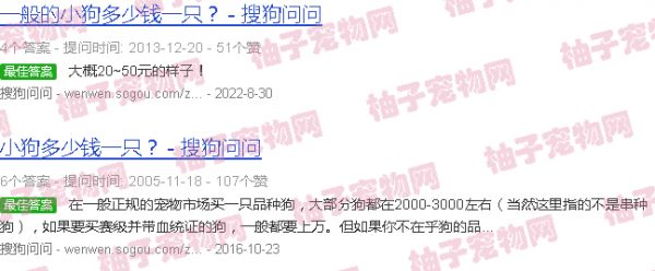 小宠物狗价格
