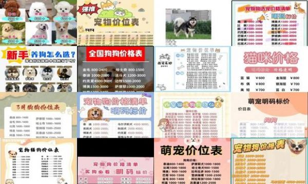 小宠物狗价格
