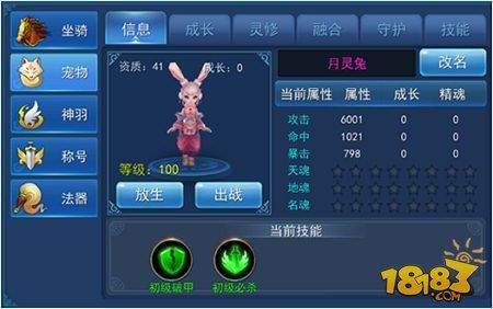 永恒仙域宠物系统简析 灵宠伴成长