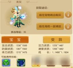 仙灵世界35级宠物大全 龙女,龟丞相宝宝是最佳选择