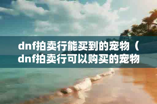 dnf拍卖行能买到的宠物（dnf拍卖行可以购买的宠物）