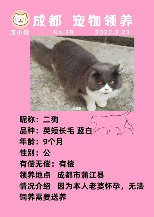 成都宠物领养吧贴吧群号（成都宠物领养成都宠物赠送）