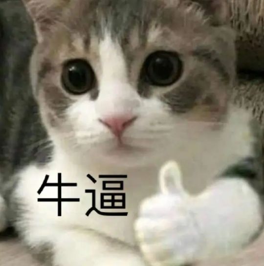6.png