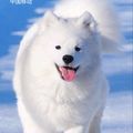 https://p0.meituan.net/userheadpicbackend/a8fe4114c6ad40dc0a8ab734f40ef1c3473519.jpg%40120w_120h_1e_1c_1l%7Cwatermark%3D0
