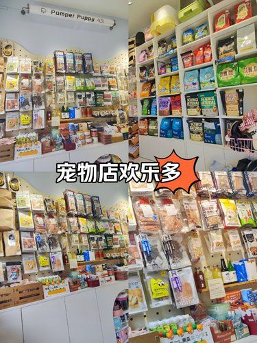 超干净宠物店服务好技术好 天花板级别