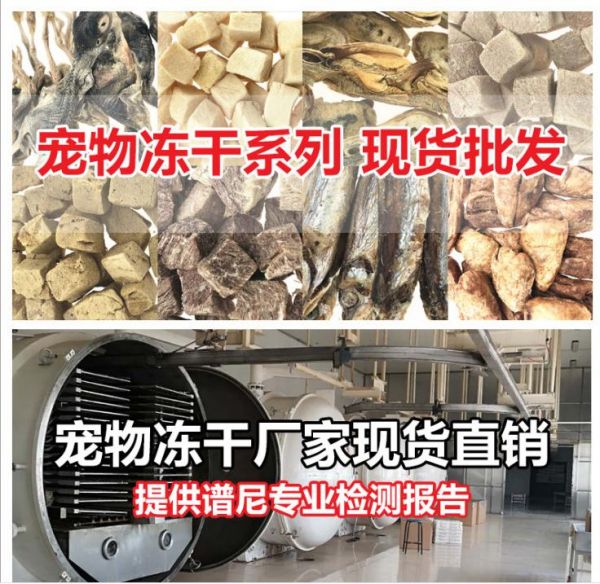 山东宠物零食定制