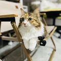 https://p0.meituan.net/userheadpicbackend/507607c3c71ce3b8a997cf8dc304b71f1095318.jpg%40120w_120h_1e_1c_1l%7Cwatermark%3D0
