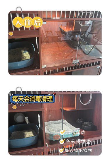 春节坪山寄养哪里放心？