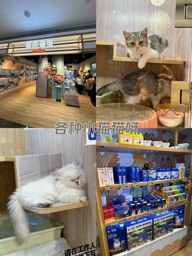 看了都想带回家！！