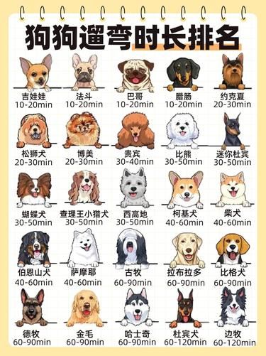 狗狗遛弯时长是谁爱上了不爱回家的狗