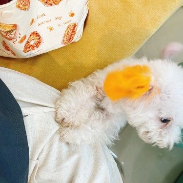 这个宝宝请不要扯我裤子