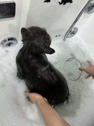 谁家的宝宝洗澡都那么乖呀