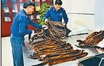 扮高尔夫球手走私“毒宠物”水客被深圳海关截查