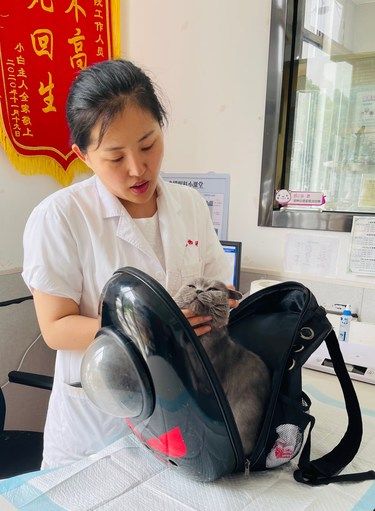 常州这家24h宠物医院，宠物小主们一定要知道