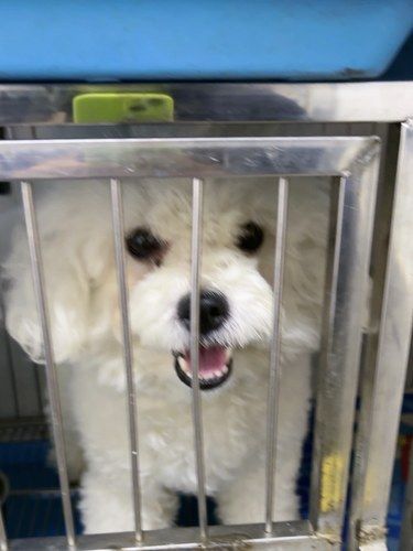 快乐宠物家