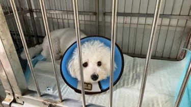 医术超赞 医心更美~
