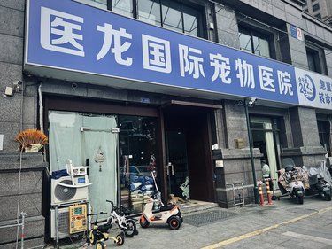 超赞的宠物医院