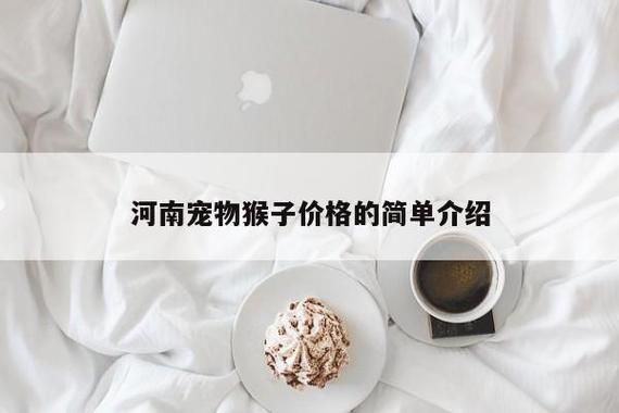 宠物猴价格,宠物猴价格是多少