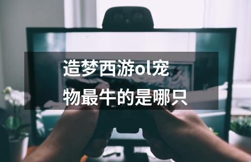 造梦西游ol宠物最牛的是哪只-第1张-游戏信息-龙启网