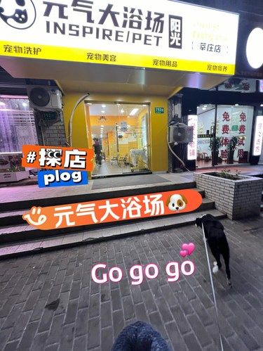 探店之元气大浴场自助洗狗