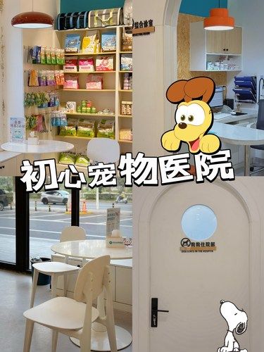 用最专业的态度守护挚爱的它