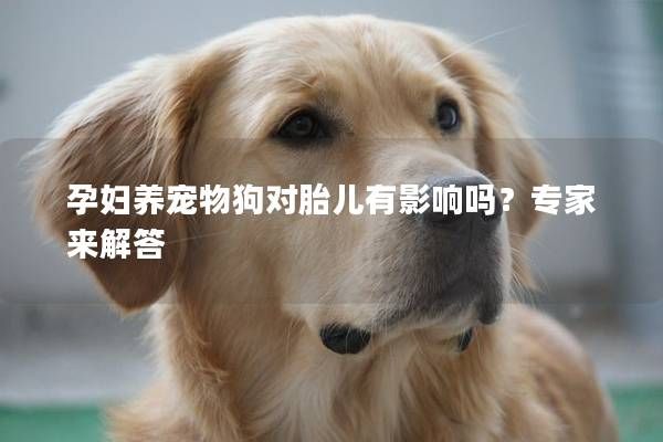 孕妇养宠物狗对胎儿有影响吗？专家来解答
