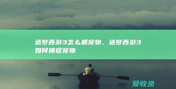 宠物