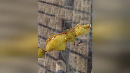 再也不吃糖葫芦了！小伙东北吃糖葫芦被扎破嘴