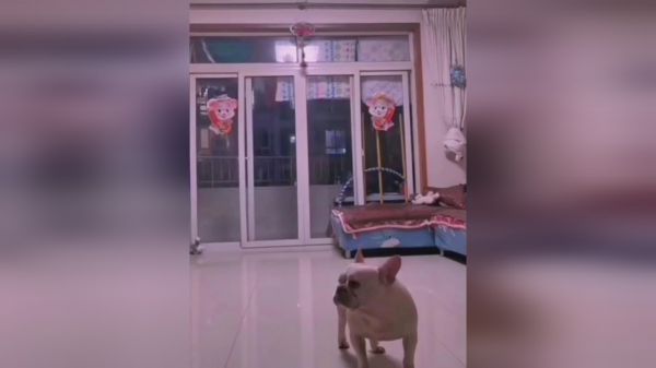 搞笑尴尬瞬间，不当个喜剧演员亏大了，日常搞笑