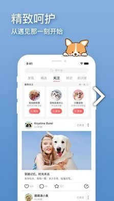卡多格宠物