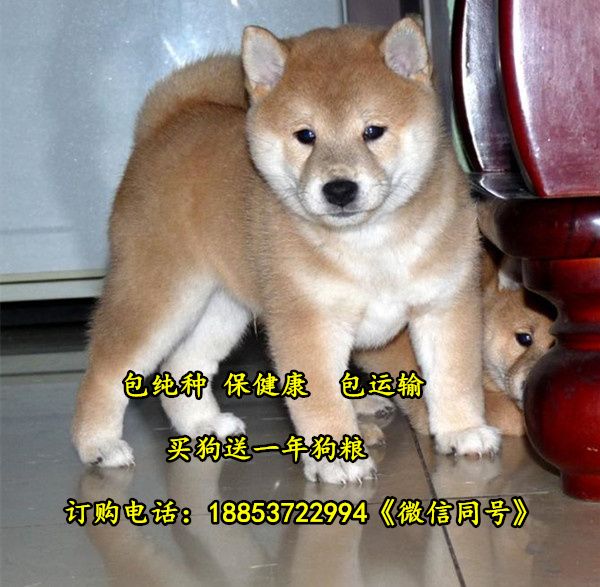 湖南省常德市大型场