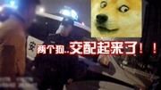 狗狗趁主人不注意交配，其主人在街头扭打，互追打胎费