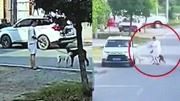 美狗计？男子带自家母狗引诱偷走公狗：狗太漂亮了，想它们交配下