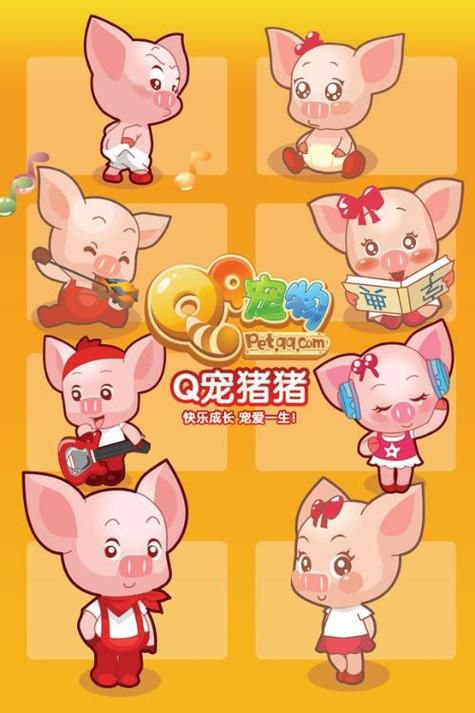 qq宠物猪（宠物猪猪 猪猪岛）