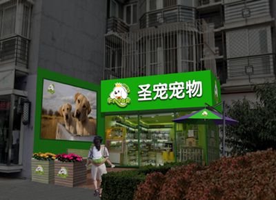 圣宠宠物