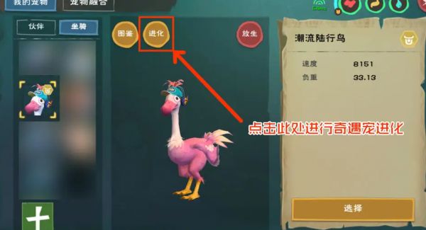 创造与魔法最好的辅助宠物是什么