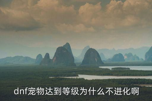  dnf宠物达到等级为什么不进化啊