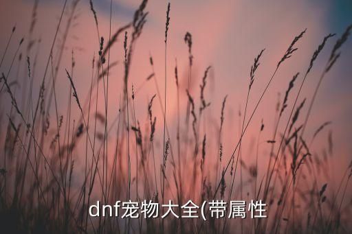  dnf宠物大全(带属性