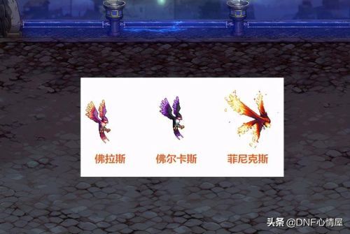 dnf宠物贝雷斯图片(稀有宠物毒龙蓝龙)插图