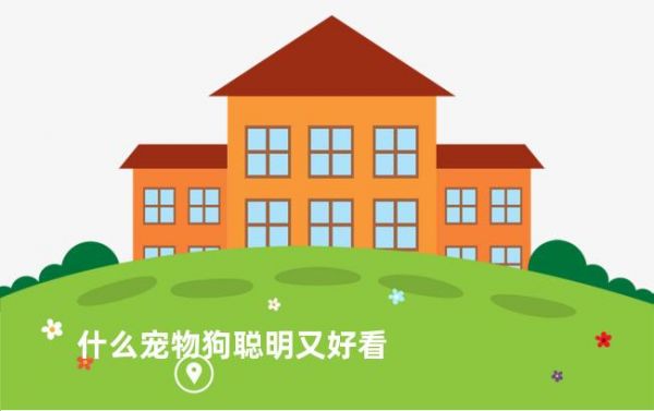 什么宠物狗聪明又好看