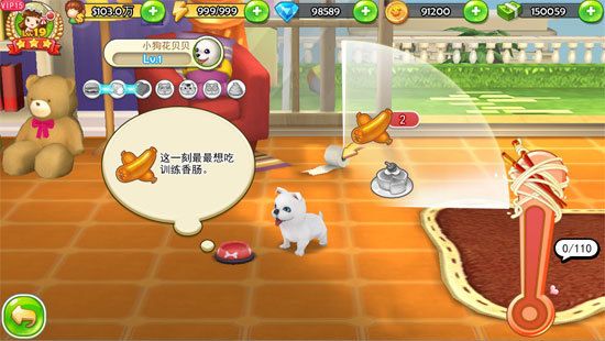 海口萌宠乐园加盟，打造梦幻宠物天堂，实现创业梦想