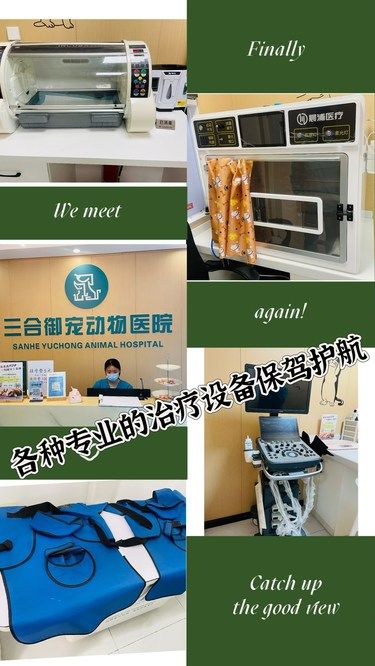 医者父母心，感恩有你…三合御宠动物医院！[玫瑰]
