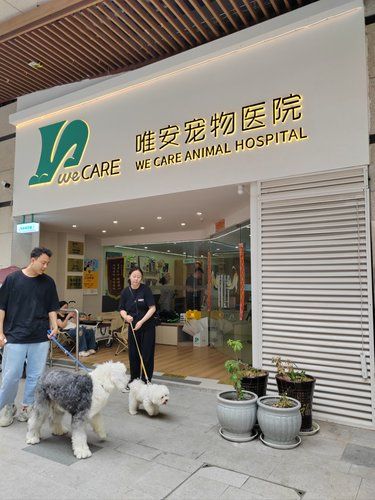 医术超赞 医心更美~