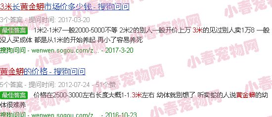 3米黄金蟒价格
