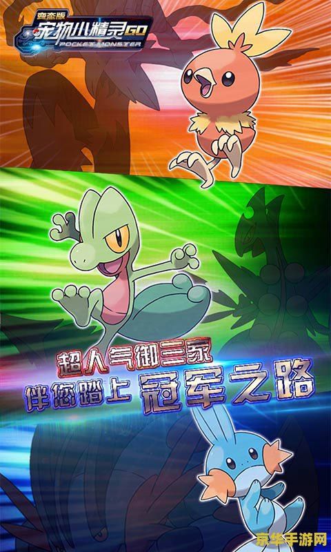 宠物小精灵bw特别篇 宠物小精灵BW：冒险新纪元