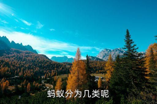 蚂蚁分为几类呢