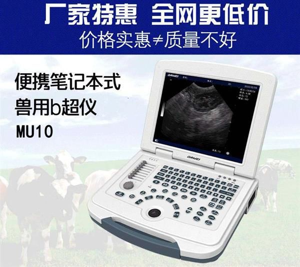 狗肝脏b超机价格