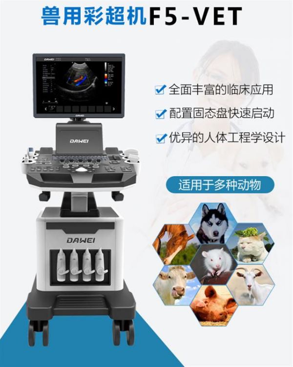 兽用宠物B超机价格
