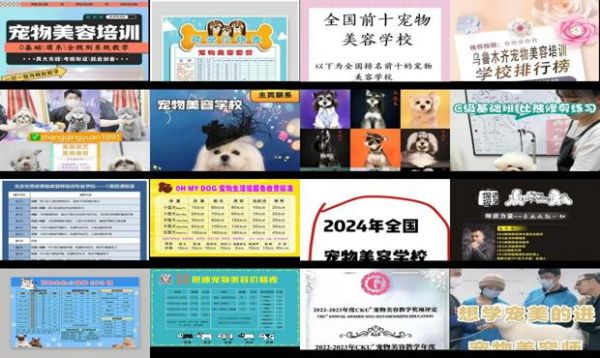 宠物美容培训班学费多少钱