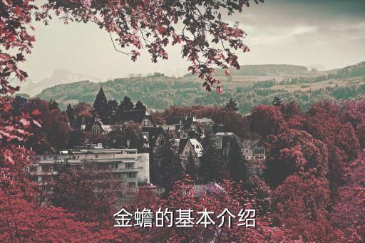  金蟾的基本介绍